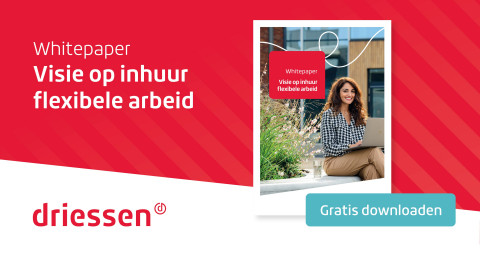 Whitepaper met zakelijke vrouw en rode grafische elementen, logo Driessen, knop "Gratis downloaden".
