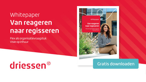 Whitepaper op rood gestreepte achtergrond, smiling vrouw buiten, logo Driessen, knop "Gratis downloaden".